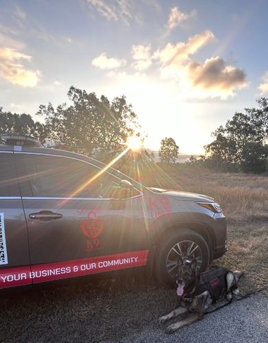Secure K9 Security car