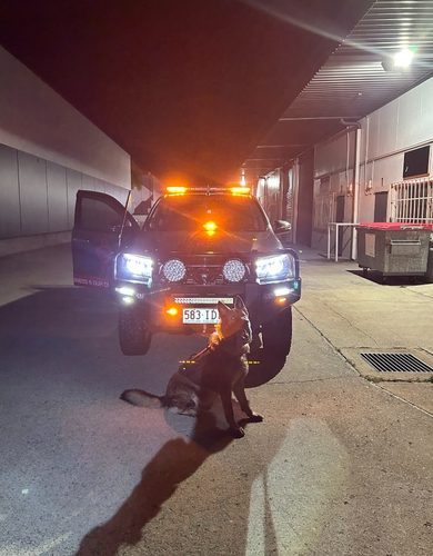 Secure K9 Solutions security car and dog
