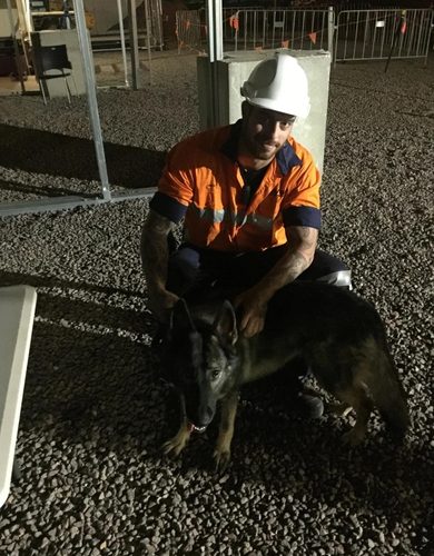 man with Secure K9 guard dog